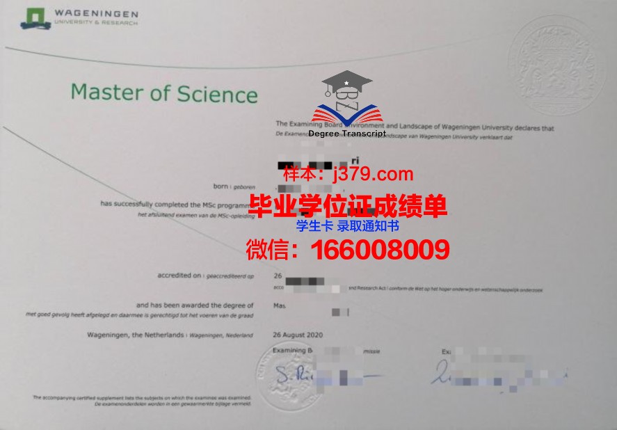 马斯特里赫特大学毕业学位