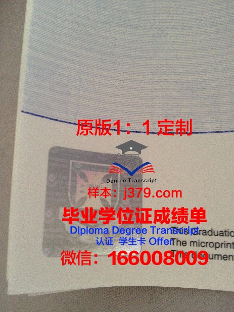 技大文凭：如何验证真伪与防伪措施