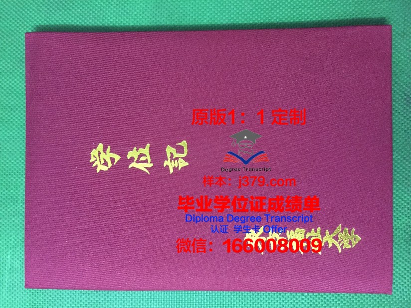 首都大学东京毕业证展示