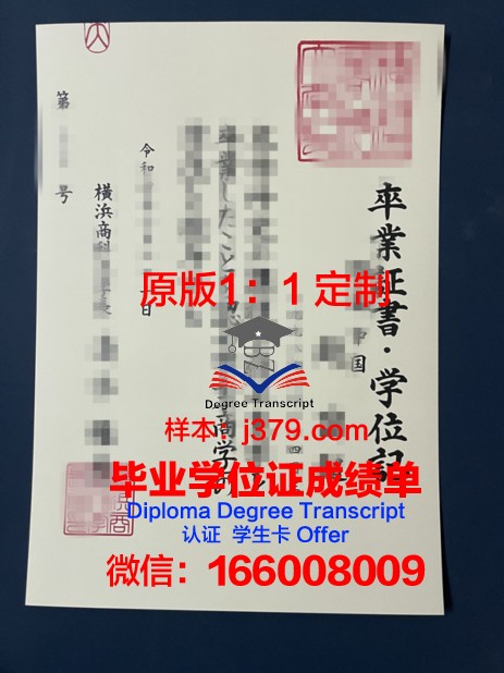 揭秘横滨市大毕业证书的设计风格