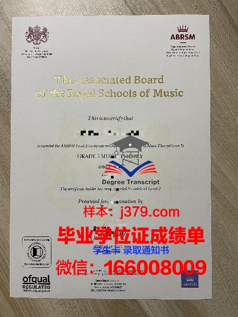 纽大进阶学习证书项目