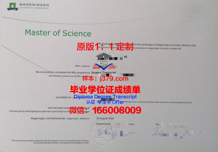 森纳尔大学毕业证：承载荣誉与梦想的纸笔传奇
