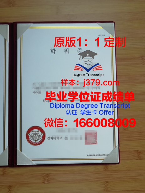 韩国科学技术院毕业学位