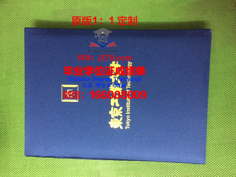 秋明工业大学学士学位资格证书