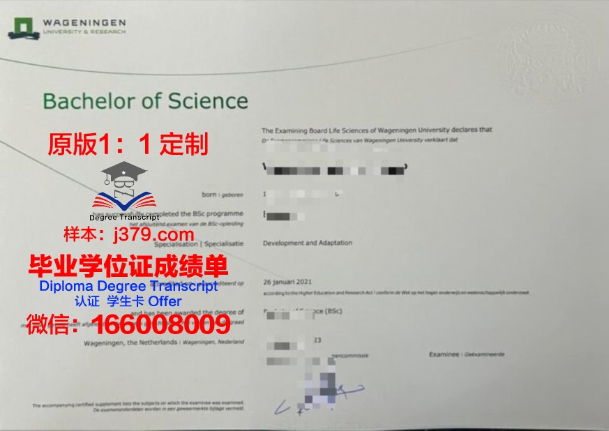 西那瓦国际大学本科毕业证书