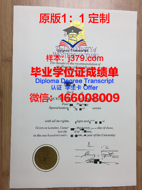 西安略大毕业证样本展示