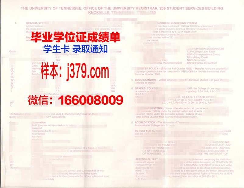 田纳西大学健康科学本科毕业证