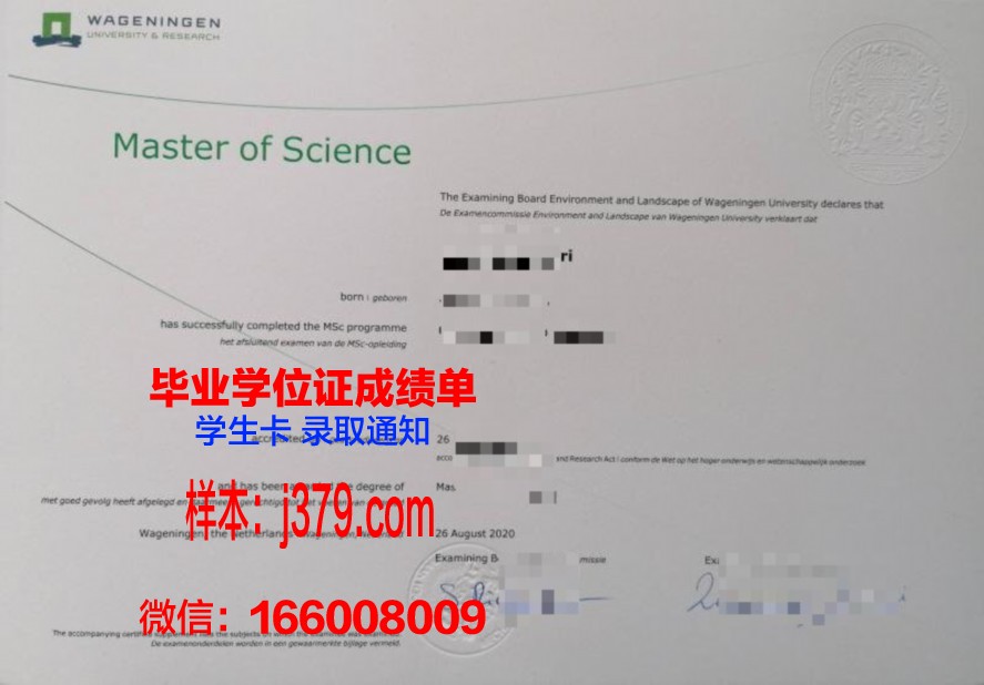 都会大毕业证图片：历年版本对比分析