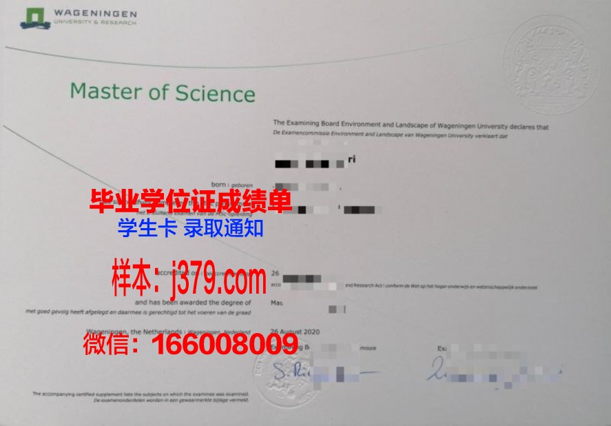 迷你毕业证样式：经典与潮流的结合