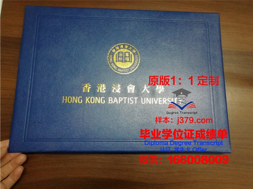 伊理工毕业证壳子使用与保养指南