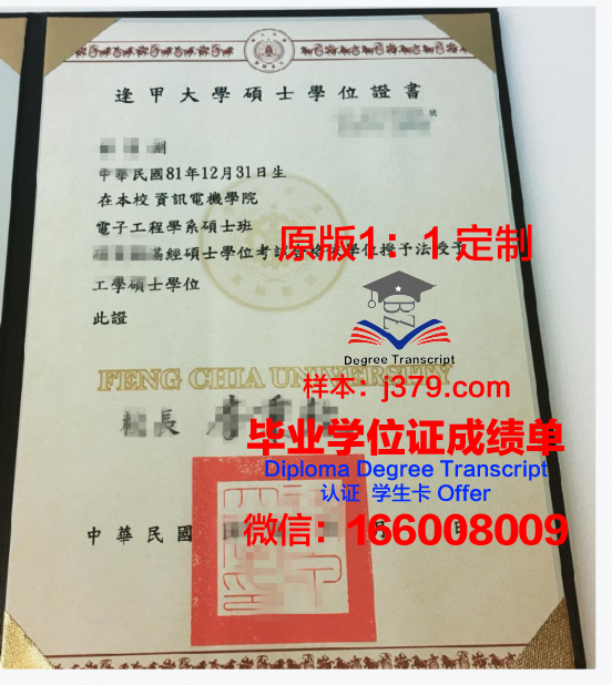 弗罗西诺内音乐学院博士学位证书颁发