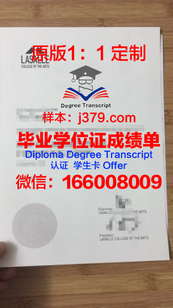 阿维尼翁艺术学院毕业证书保护壳