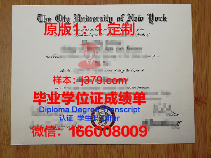 第一城市大学学院博士毕业证书(城市博士点)