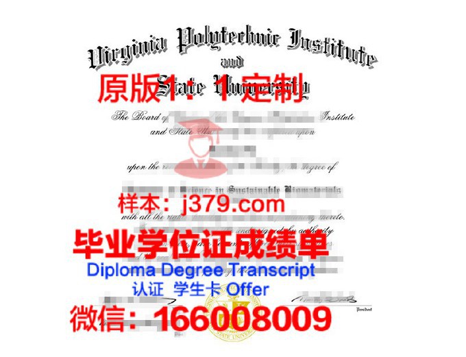 圣彼得堡彼得大帝理工大学博士毕业证书(圣彼得堡彼得帝国理工大学)