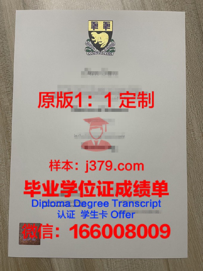 伦敦南岸大学毕业证图片(伦敦南岸大学商学院)