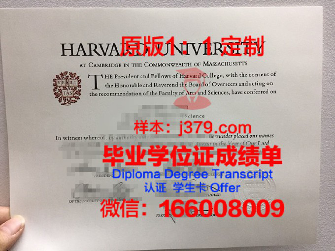 昆明医科大学成人本科毕业证(昆明医科大学成考毕业证)