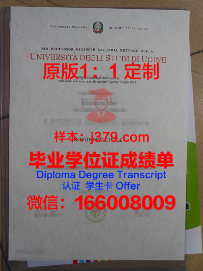 乌迪内大学毕业证(乌迪内大学毕业证书图片)