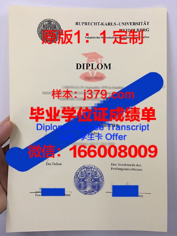 海德堡大学毕业证是真的吗(海德堡大学什么水平)