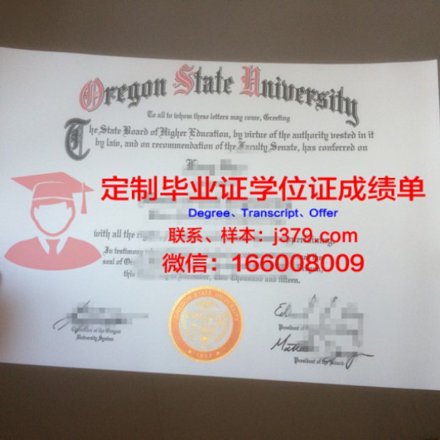 巴黎东部马恩－拉瓦雷大学工程师学院录取通知书OFFER定制：迈向未来的钥匙