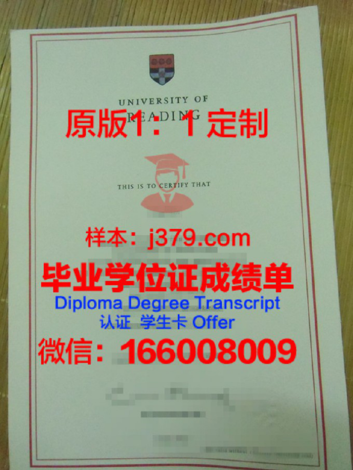 雷丁大学毕业证成绩单：一份珍贵的学术印记