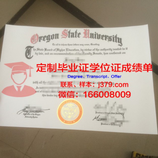 伊曼努尔·康德波罗的海联邦大学录取通知书OFFER定制，开启你的俄罗斯留学之旅